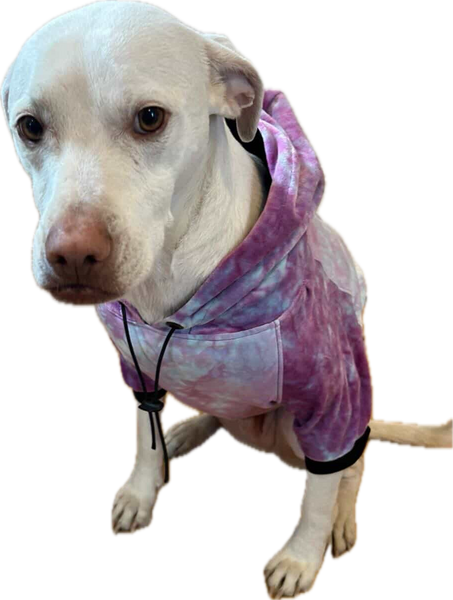 Custom Pet Hoodie