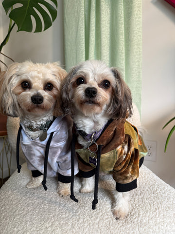 Custom Pet Hoodie