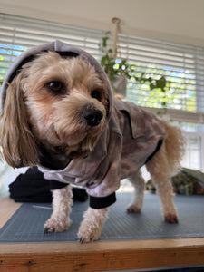 Medium Pet Hoodie