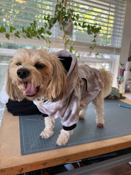 Medium Pet Hoodie