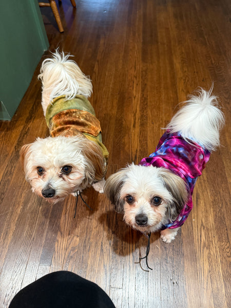 Custom Pet Hoodie